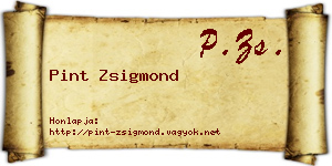 Pint Zsigmond névjegykártya